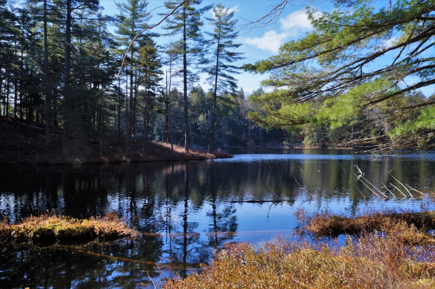 Horseshoe Pond in Gale (Piercefield) NY. Nature Up North